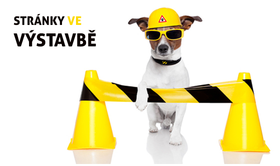 ve_vystavbe.jpg, 94kB